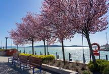 Tavasz Balatonfüreden és az új lakások szezonja a tóparton