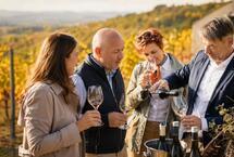 The Perfect Autumn Escape Near Budapest: A Local Wine Experience in Hungary