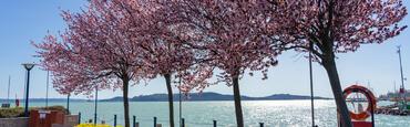 Tavasz Balatonfüred