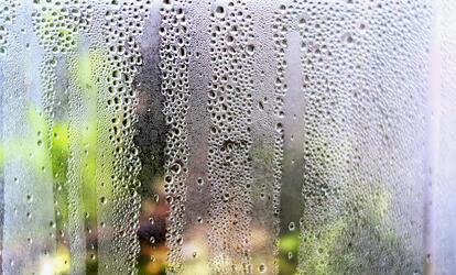 Mennyi a megfelelő páratartalom? Ideális páratartalom a lakásban