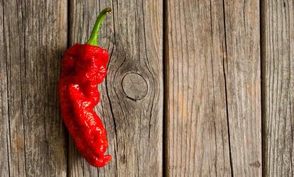 A Szellem chili fogyasztásának hatásai Szellem chili fogyasztása
