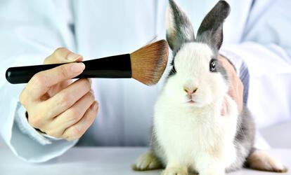 cruelty free kozmetikumok milyenek? cruelty free kozmetikumok előnyei