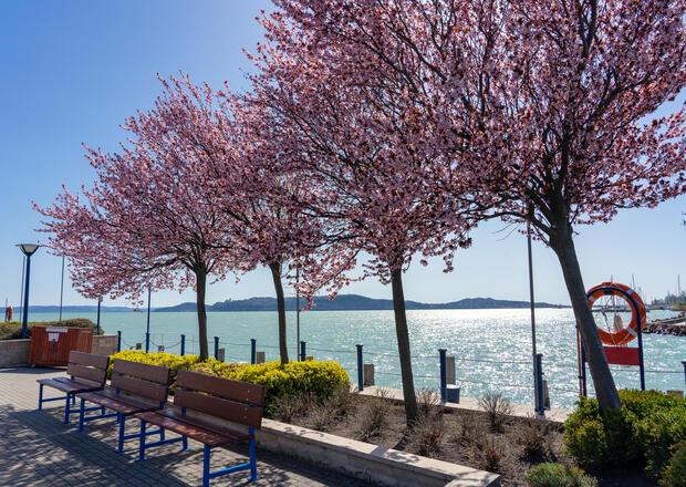 Tavasz Balatonfüred