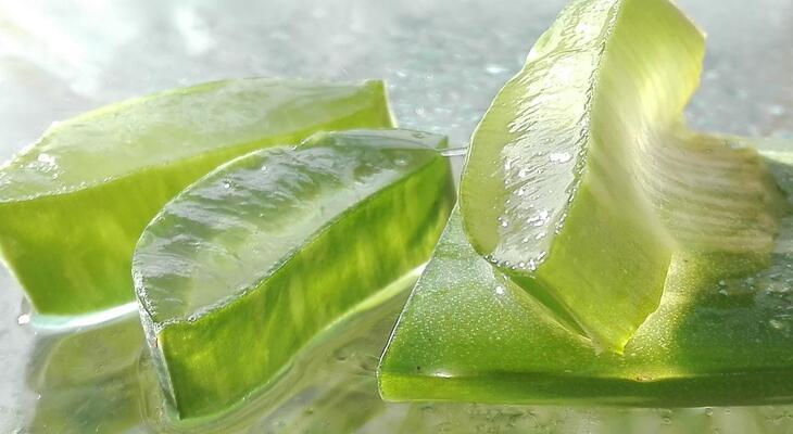 Házi aloe vera gél Így készül az aloe vera házilag