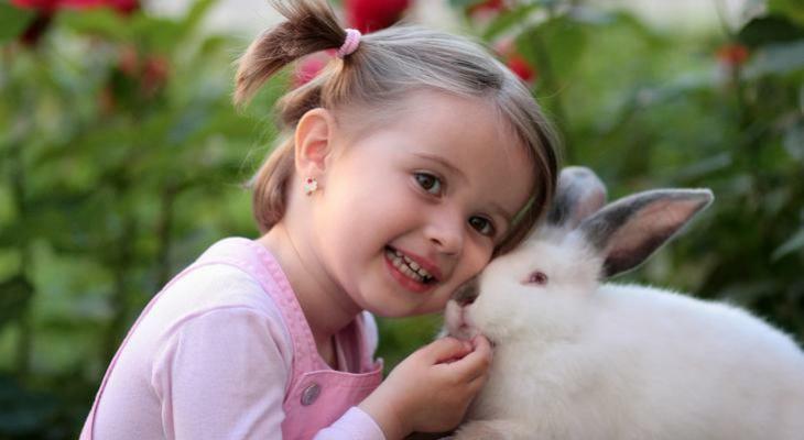 Kisbaba a házi kedvencekkel Kisbaba