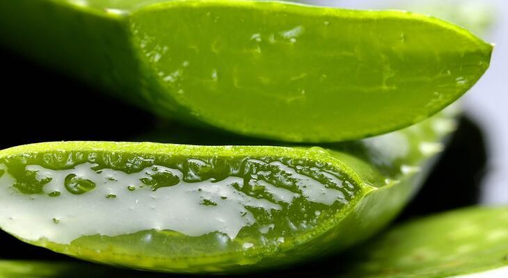 Aloe vera a szépségápolásban Az aloe vera felhasználása