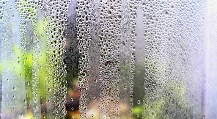Mennyi a megfelelő páratartalom? Ideális páratartalom a lakásban