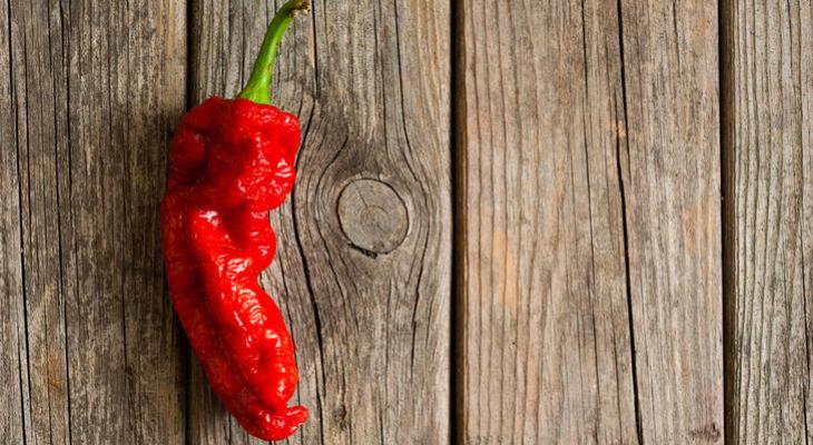 A Szellem chili fogyasztásának hatásai Szellem chili fogyasztása
