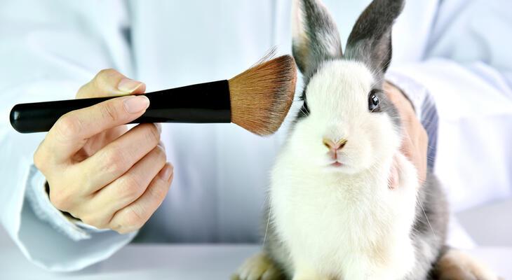 cruelty free kozmetikumok milyenek? cruelty free kozmetikumok előnyei