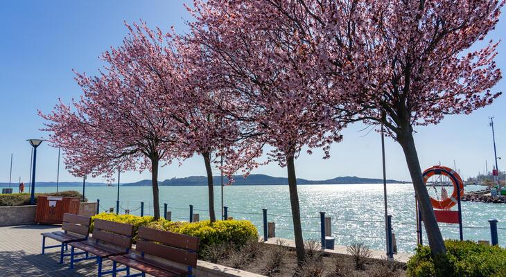 Tavasz Balatonfüred