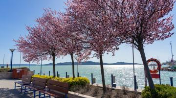 Tavasz Balatonfüred
