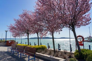 Tavasz Balatonfüred