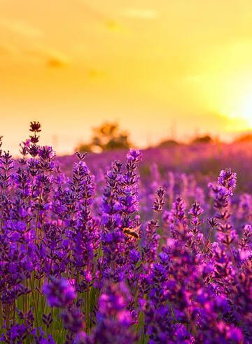 Romantikus helyek belföldön