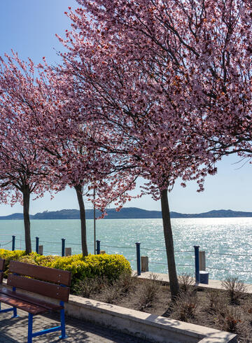 Tavasz Balatonfüred