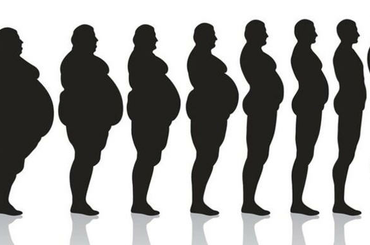 Fogyjunk tojásdiétával