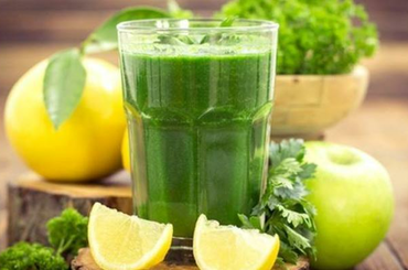 Léböjt tábor tapasztalatok  Beszámoló a léböjt táborról