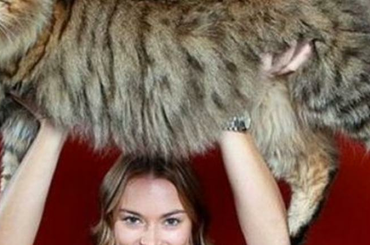 A világ legnagyobb macskái 