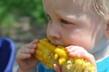 Válogatós a gyerkőc? Ezt kell tenned ellene!