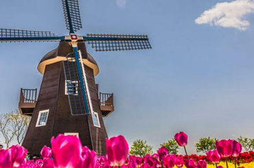Hollandia vagy Magyarország a jobb oktatásügyileg? Holland oktatás kontra magyar