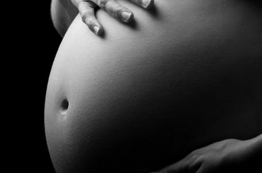 A magzati fejlődés a 13-22. hétig.