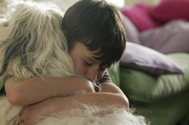 Állatok gyógyító ereje