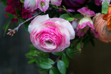 Nézd meg, hogy milyen virág illik hozzád! 