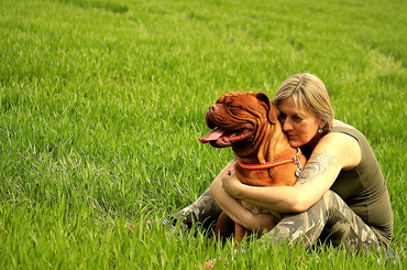 Ezért olyan nehéz elveszíteni egy kutyát