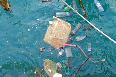 Megkezdődött a szemét eltakarítása