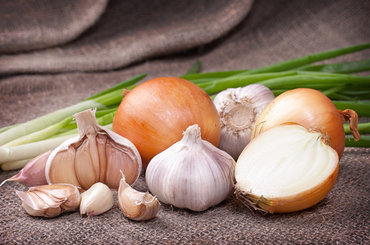 Természet adta antibiotikumok