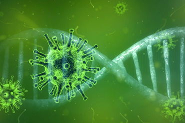 Vajon az évszakok változása hatással lesz a koronavírusra?