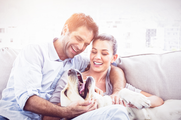 A köszönöm varázslatos ereje