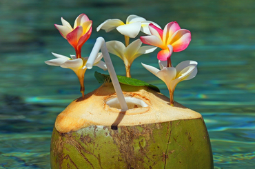 Milyen hatással van a testre a kókuszvíz?