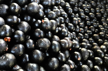 Az acai berry jótékony hatásai