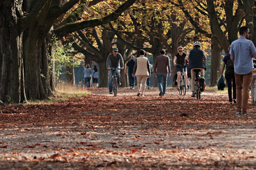 Őszi programajánló - 2020