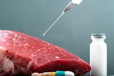 mesterséges csirkehús