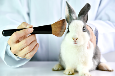 cruelty free kozmetikumok előnyei