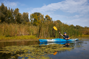 szigetközi programok