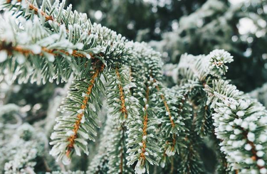 Mutatunk néhány különleges programot a téli szünetre! 