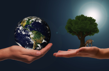 Mit tehetünk a környezetünkért?