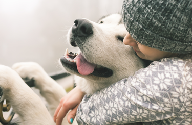 A háziállatok jót tesznek a mentális egészségnek