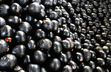 Az acai berry jótékony hatásai