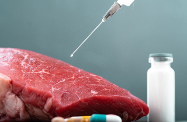 mesterséges csirkehús