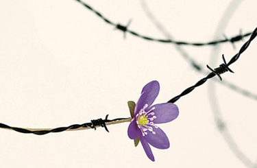 A döntés - Edith Eva Eger