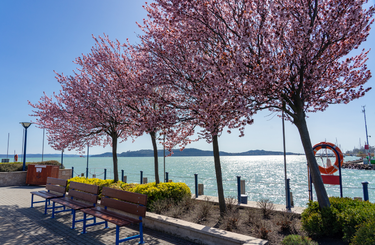Tavasz Balatonfüred