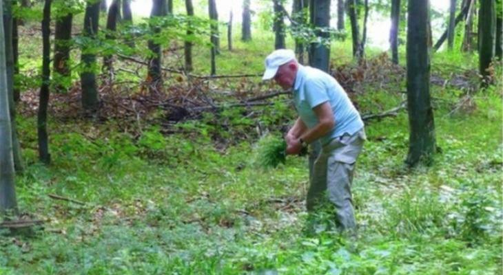 A Füvesember legjobb gyógyító receptjei  Szabó Gyuri bácsi legjobb receptjei